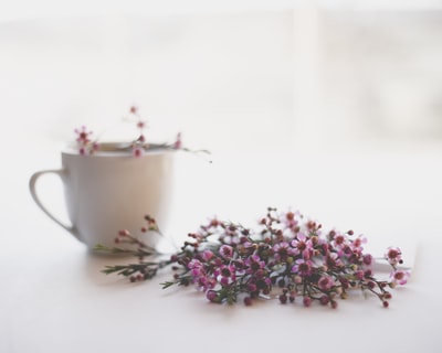 粉红色和绿色花朵白色陶瓷茶杯
